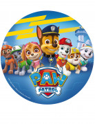 Son Anniversaire Pat Patrouille Idees De Fetes